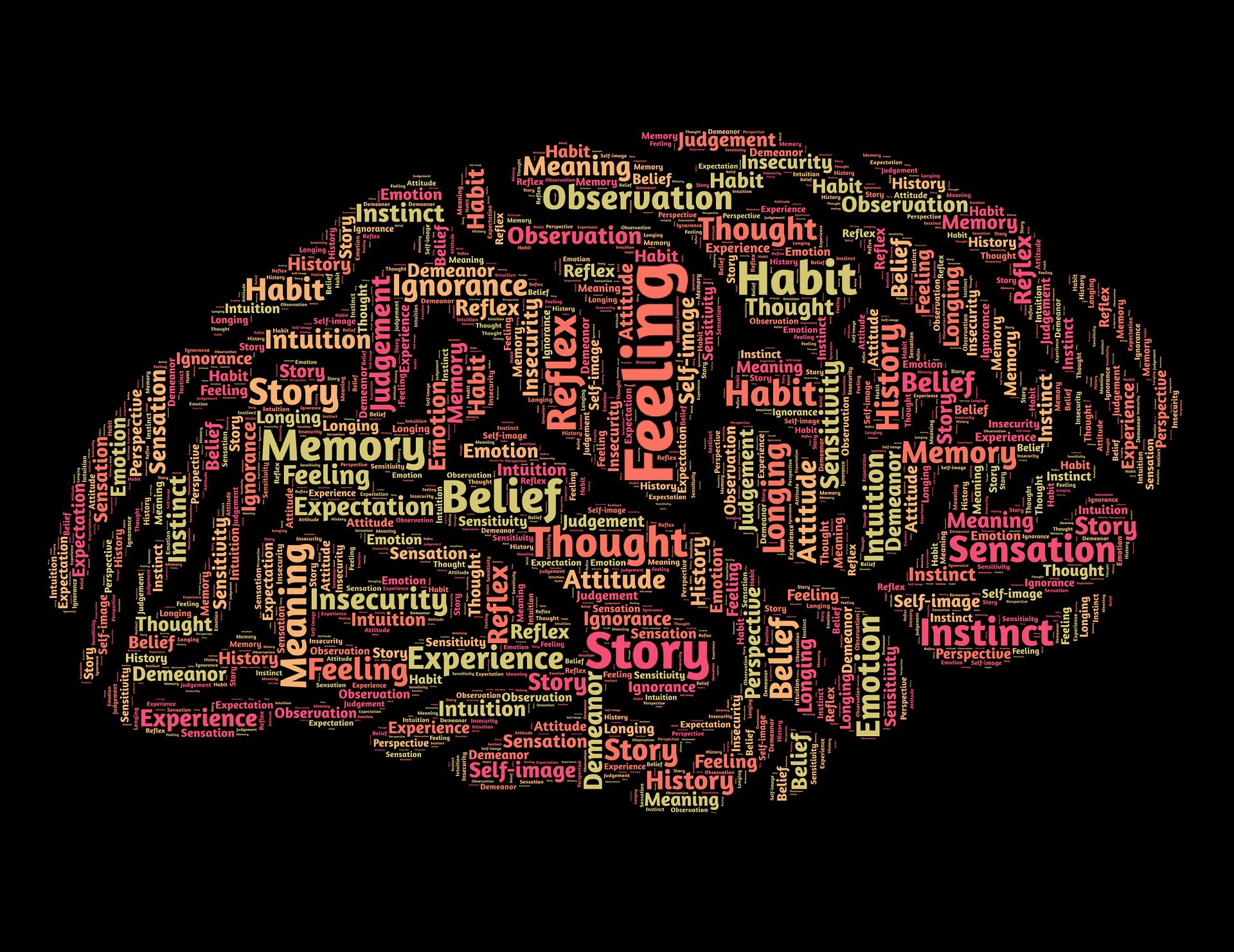 Brain / Mind
